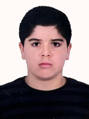 سید ایلیا رضائی (دانش آموز)