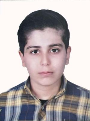 محمد حسین توانا (دانش آموز)